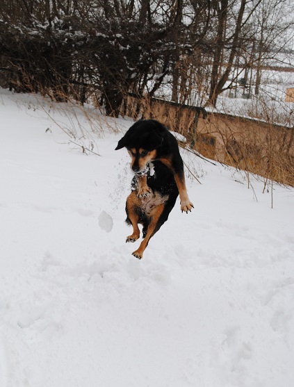 Kliknij na zdjęcie, żeby zobaczyć w pełnych wymiarach