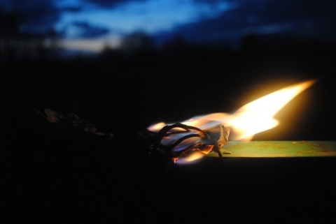 Kliknij na zdjęcie, żeby zobaczyć w pełnych wymiarach