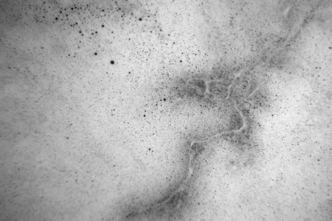 Kliknij na zdjęcie, żeby zobaczyć w pełnych wymiarach