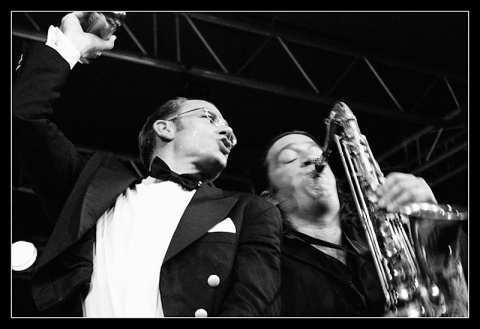 Kliknij na zdjęcie, żeby zobaczyć w pełnych wymiarach